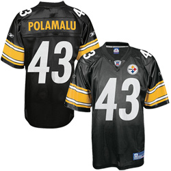 Polamalu jersey