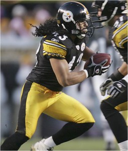 Troy Polamalu